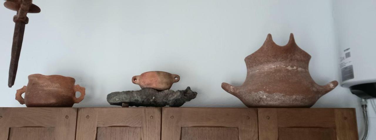阿雷西费Casa Pescado A La Sombra De Un Drago公寓 外观 照片