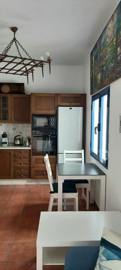阿雷西费Casa Pescado A La Sombra De Un Drago公寓 外观 照片